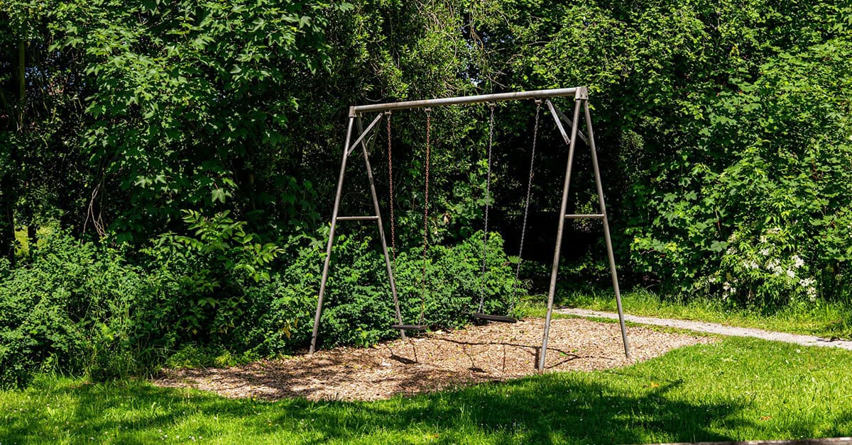 Columpio sin cuerdas en jardín rodeado de arbustos verdes.